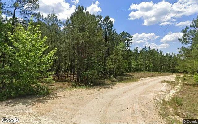Decorative background for 4.91 Acres in Rockingham - Richmond County, NC image 6