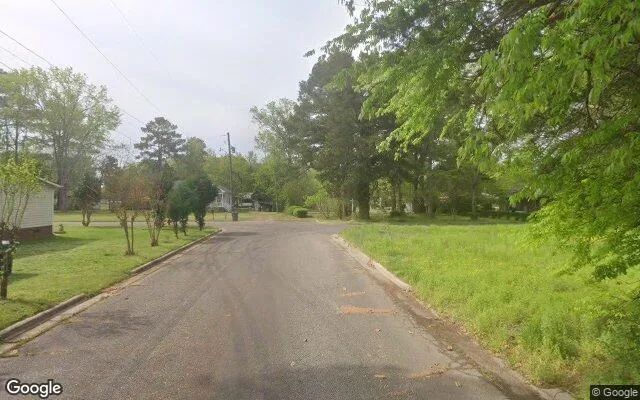 Decorative background for 0.54 Acres in Windsor - Bertie County, NC image 5