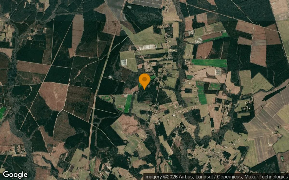 1.05 Acres in Willard - Pender County, NC - Image 3