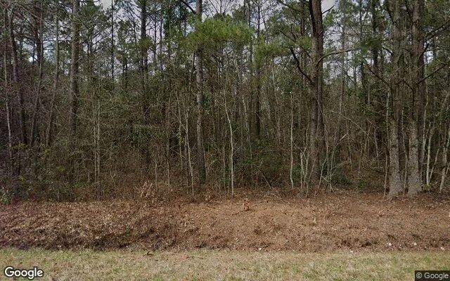 1.05 Acres in Willard - Pender County, NC - Image 4