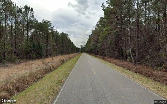 Decorative background for 1.05 Acres in Willard - Pender County, NC image 5