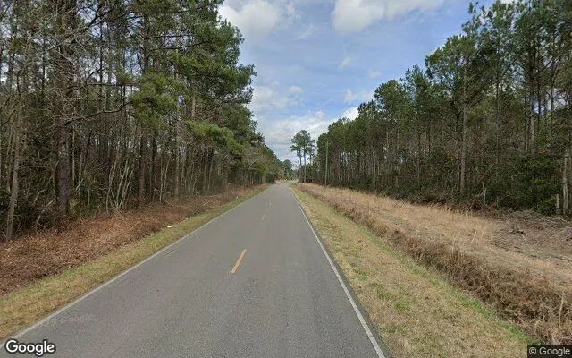 Decorative background for 1.05 Acres in Willard - Pender County, NC image 6