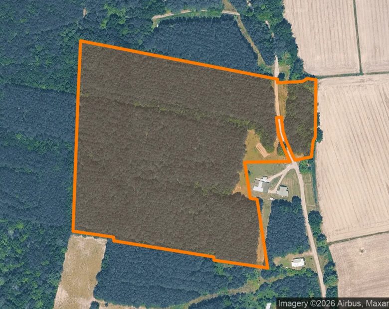 14.92 Acres in Hobbsville - Gates County, NC in Gates County, NC