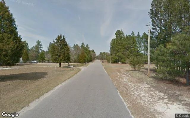 Decorative background for 1.97 Acres in Wagram - Scotland County, NC image 5