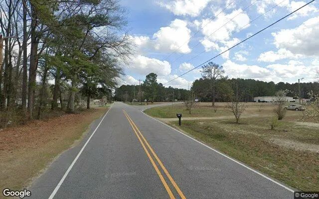Decorative background for 0.23 Acres in Saint Pauls - Robeson County, NC image 6