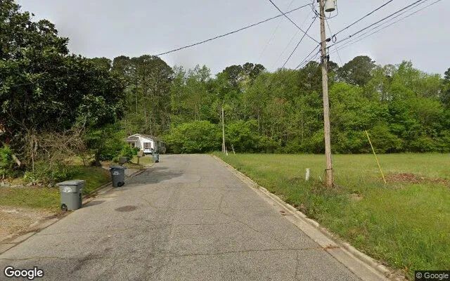 Decorative background for 0.17 Acres in Windsor - Bertie County, NC image 5