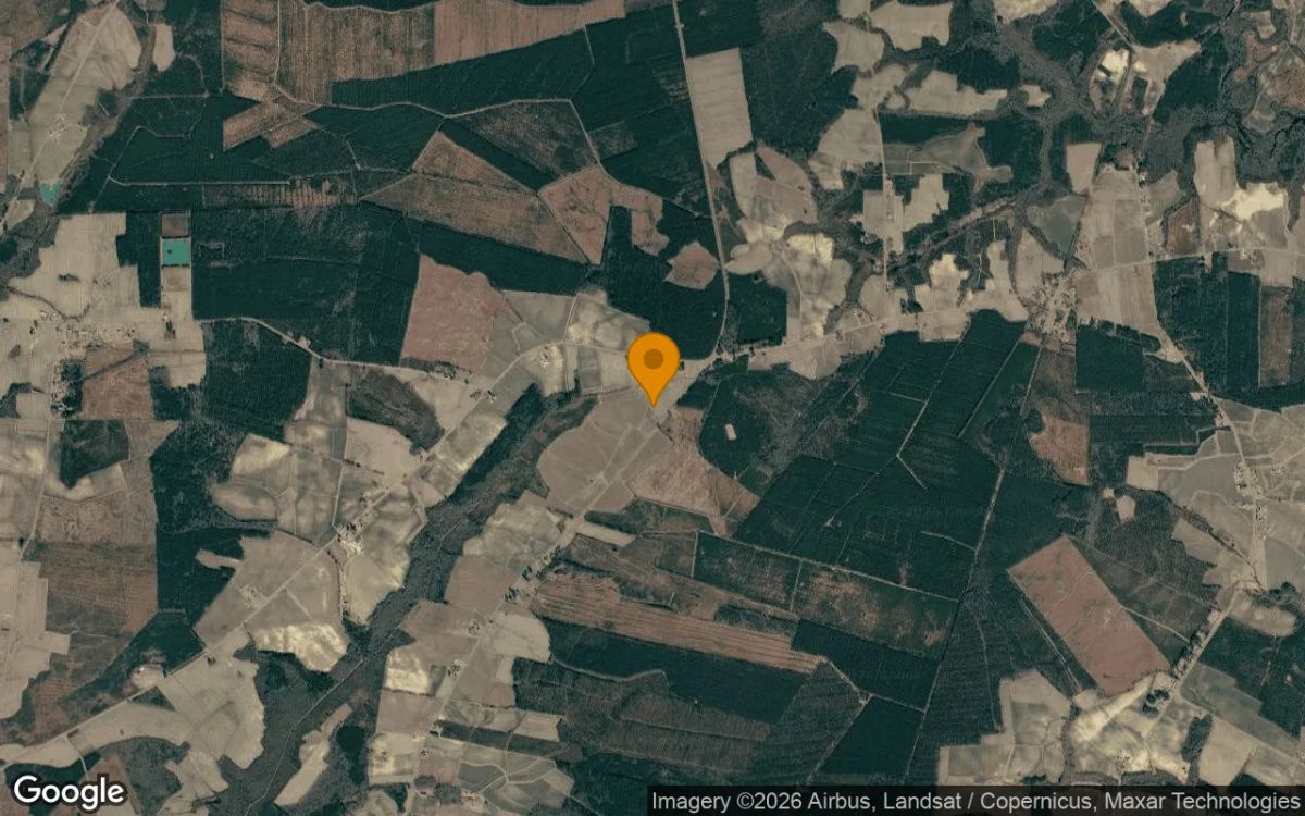 2.33 Acres in Hamilton - Martin County, NC - Image 3