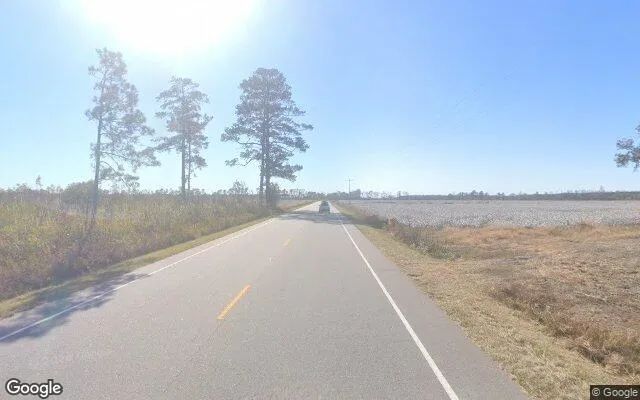 Decorative background for 2.33 Acres in Hamilton - Martin County, NC image 5