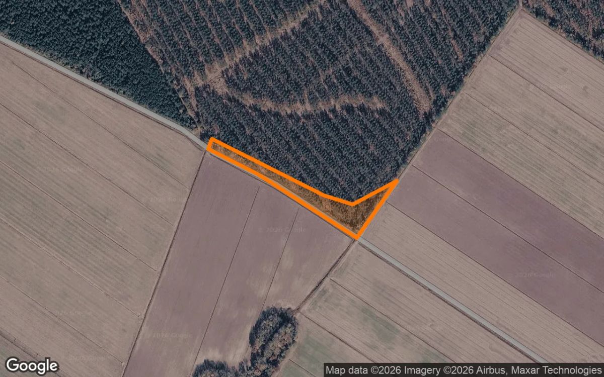 Decorative background for 3.37 Acres in Edenton - Chowan County, NC image 6