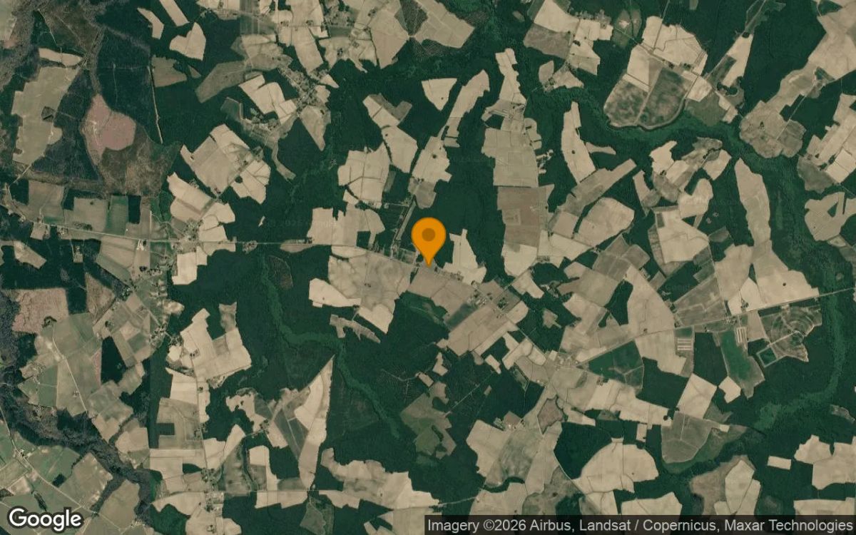 3.99 Acres in Colerain - Bertie County, NC - Image 3