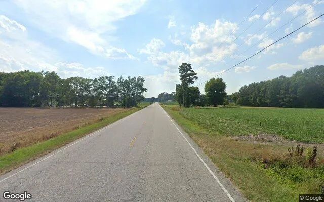 Decorative background for 3.99 Acres in Colerain - Bertie County, NC image 5