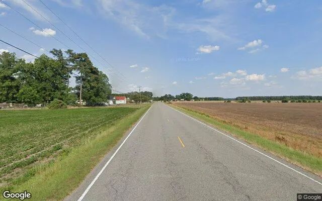 Decorative background for 3.99 Acres in Colerain - Bertie County, NC image 6