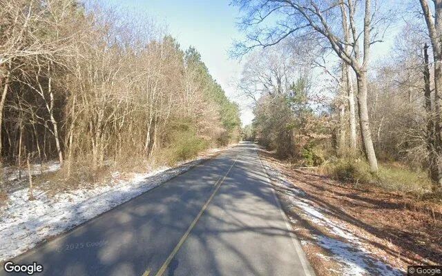 Decorative background for 0.52 Acres in Littleton - Halifax County, NC image 5
