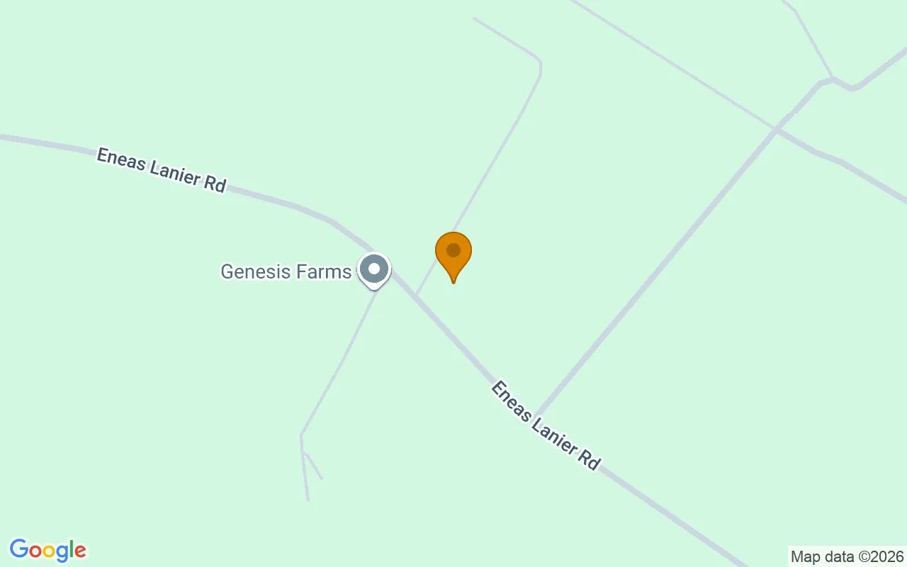 1.25 Acres in Chinquapin - Duplin County, NC in Duplin County, NC