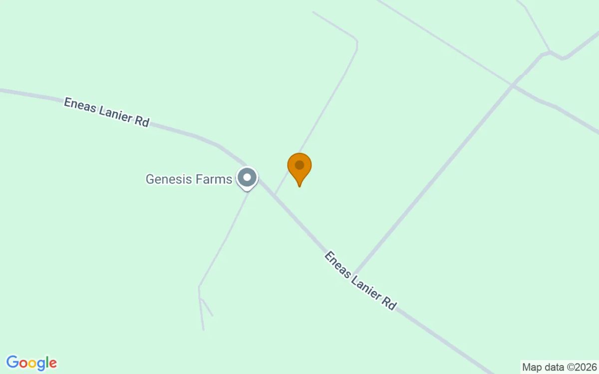 1.25 Acres in Chinquapin - Duplin County, NC - Image 2