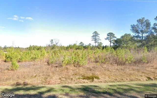 1.25 Acres in Chinquapin - Duplin County, NC - Image 4