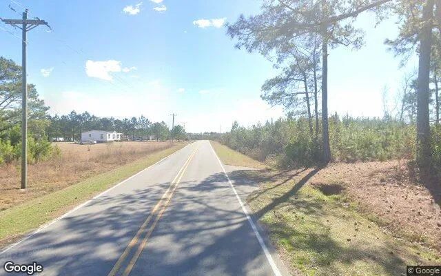 Decorative background for 1.25 Acres in Chinquapin - Duplin County, NC image 6