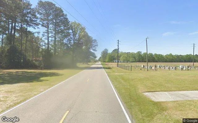 Decorative background for 18.9 Acres in Greene - Greene County, NC image 5