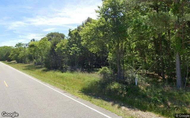 Decorative background for 16.04 Acres in Gates - Gates County, NC image 5