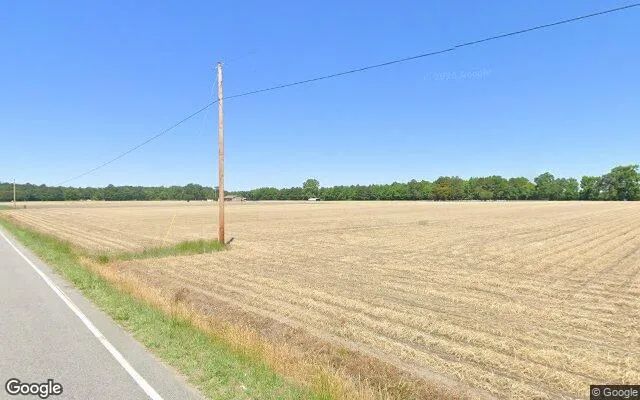 Decorative background for 16.04 Acres in Gates - Gates County, NC image 6