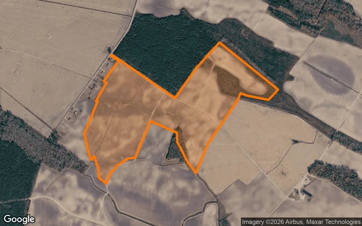 134.51 Acres in Hobbsville - Gates County, NC - Main image