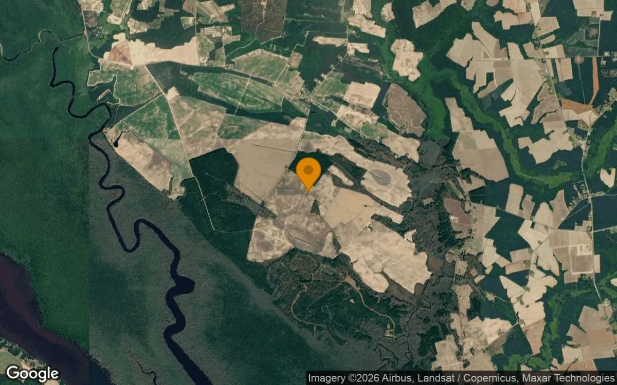 134.51 Acres in Hobbsville - Gates County, NC - Image 3