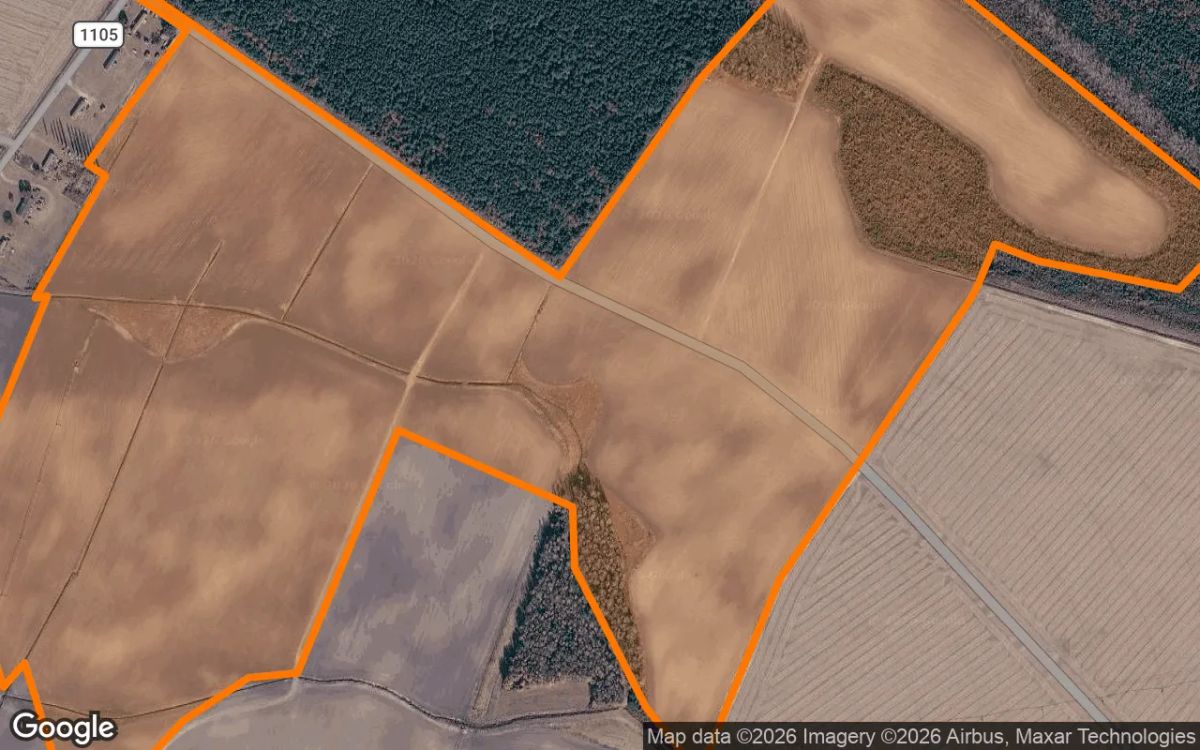 Decorative background for 134.51 Acres in Hobbsville - Gates County, NC image 6
