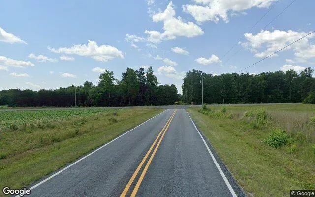 Decorative background for 3.79 Acres in Prospect Hill - Caswell County, NC image 5