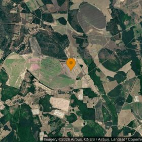 151.7 Acres in Red Springs - Hoke County, NC in Hoke County, NC