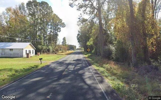 Decorative background for 2.23 Acres in Bladenboro - Bladen County, NC image 6
