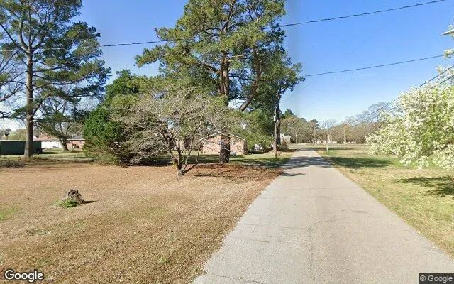 Decorative background for 0.41 Acres in Pikeville - Wayne County, NC image 6
