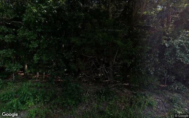 88.99 Acres in Snow Camp - Alamance County, NC in Alamance County, NC