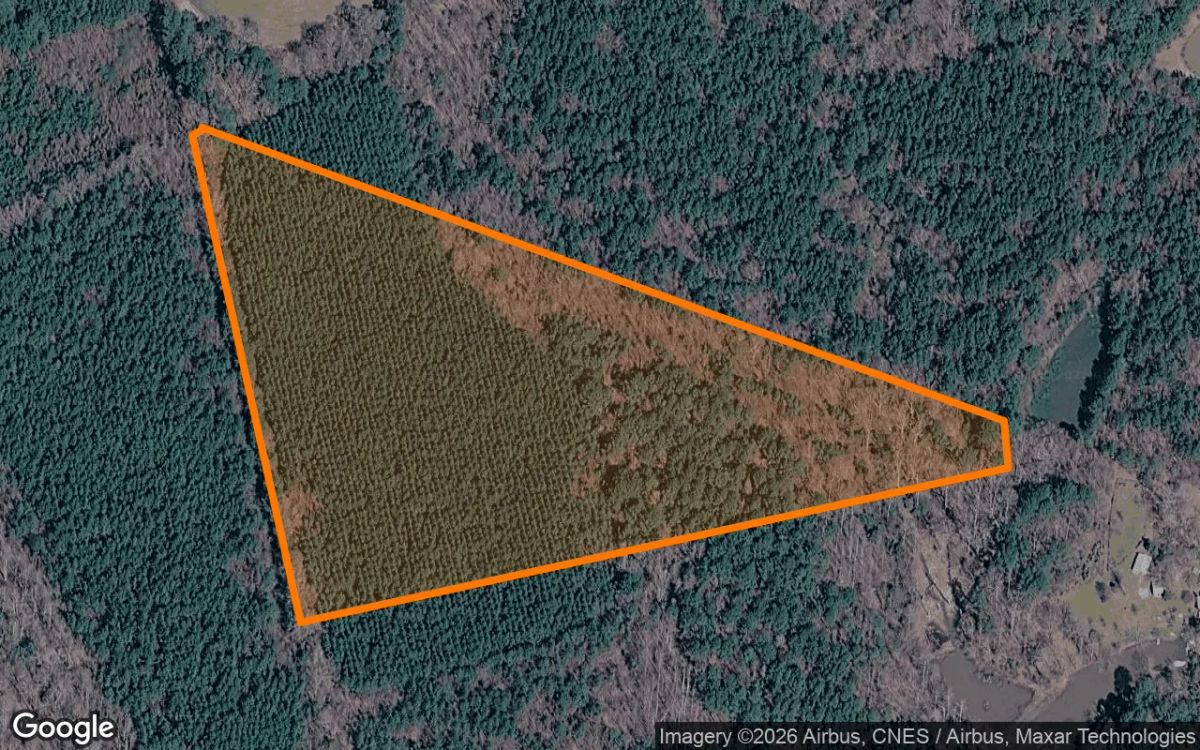 13.38 Acres in Graham - Alamance County, NC - Main image