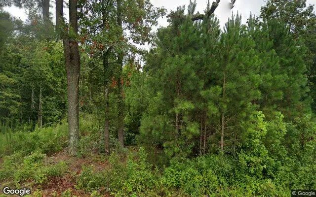 13.38 Acres in Graham - Alamance County, NC - Image 4