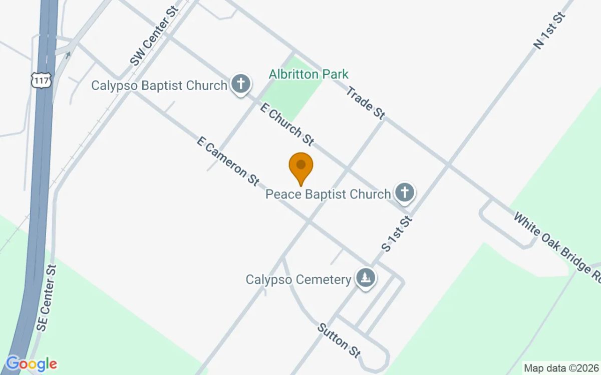 0.62 Acres in Mount Olive - Duplin County, NC - Image 2