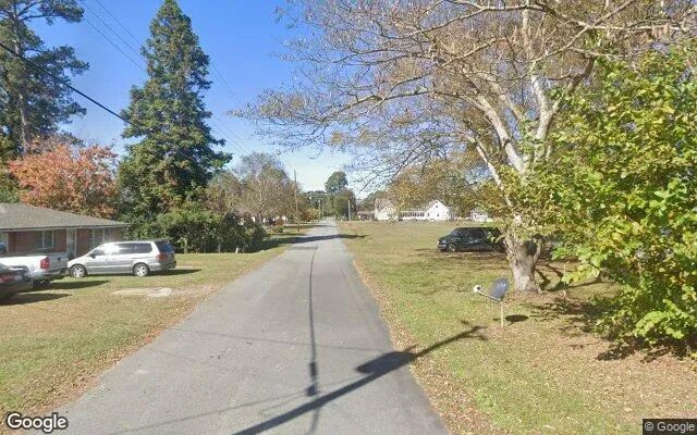Decorative background for 0.62 Acres in Mount Olive - Duplin County, NC image 5