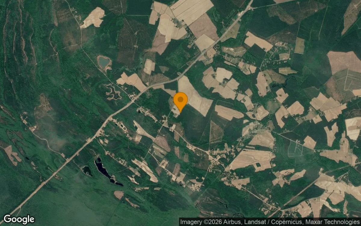 11.55 Acres in Eure - Gates County, NC - Image 3
