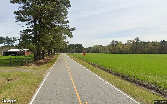 Decorative background for 0.25 Acres in Creswell - Washington County, NC image 6