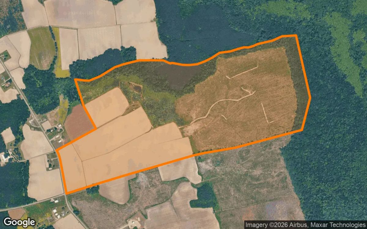 257.07 Acres in Sunbury - Gates County, NC - Main image
