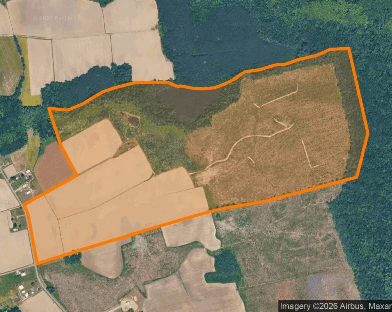 257.07 Acres in Sunbury - Gates County, NC in Gates County, NC