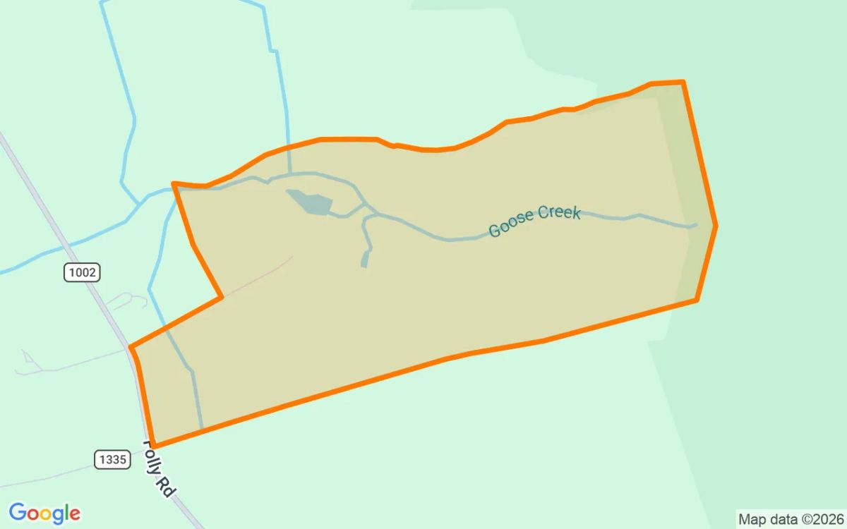 257.07 Acres in Sunbury - Gates County, NC - Image 2