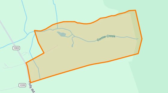 257.07 Acres in Sunbury - Gates County, NC in Gates County, NC
