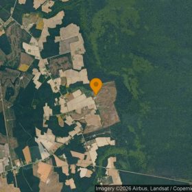 257.07 Acres in Sunbury - Gates County, NC in Gates County, NC