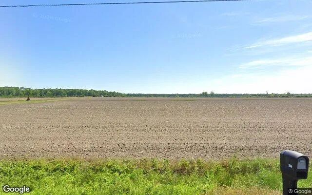 257.07 Acres in Sunbury - Gates County, NC - Image 4