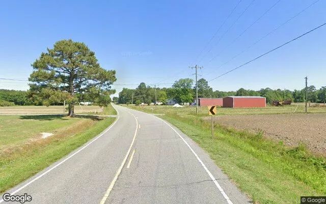 Decorative background for 257.07 Acres in Sunbury - Gates County, NC image 5