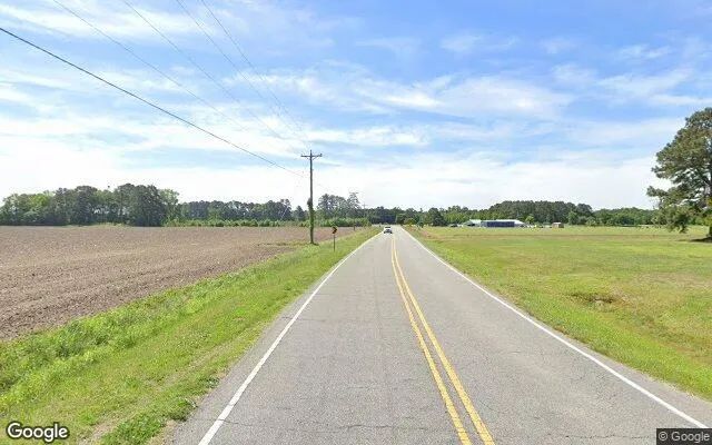 Decorative background for 257.07 Acres in Sunbury - Gates County, NC image 6