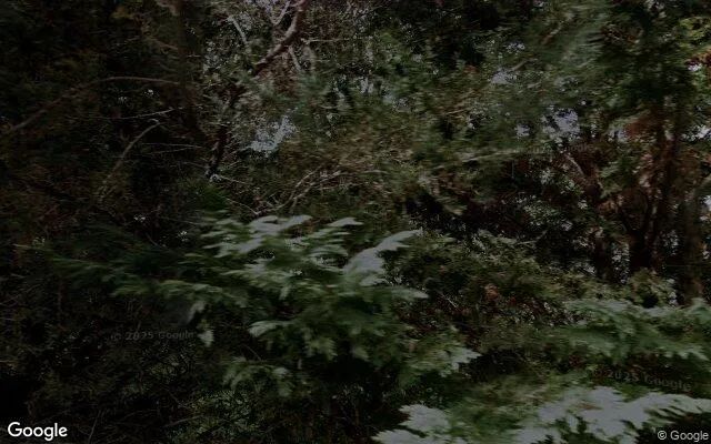 Decorative background for 1.33 Acres in Waynesville - Haywood County, NC image 6