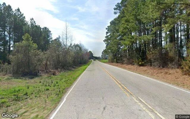 Decorative background for 21.78 Acres in Wadesboro - Anson County, NC image 6