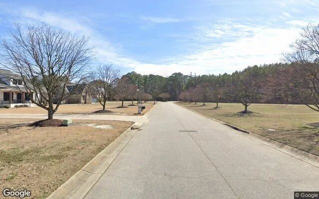 Decorative background for 1.2 Acres in Goldsboro - Wayne County, NC image 6