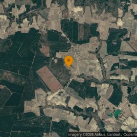 121 Acres in Robersonville - Martin County, NC in Martin County, NC